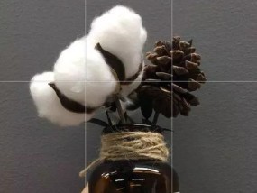 刷抖音拍照手机设置有哪些技巧？