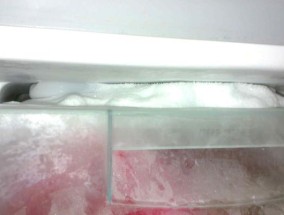 正确清洗电冰箱，保持结冰效果（实用清洗方法）