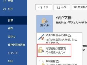 文档加密（了解文档加密的操作方法）
