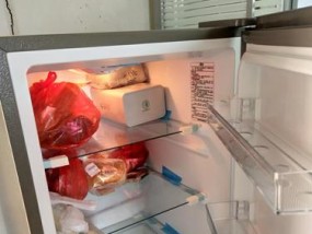 探索冰箱温度对于食物保存的重要性（以冰箱温度对的概念为基础）