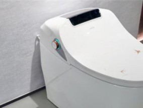 如何更换恒洁马桶冲水阀（简单操作教你快速更换马桶冲水阀）