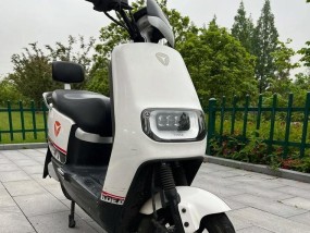 红色星球狗充电器使用方法？如何正确充电？