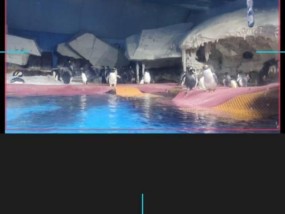 电脑版剪映如何添加颤音效果？声音编辑技巧有哪些？