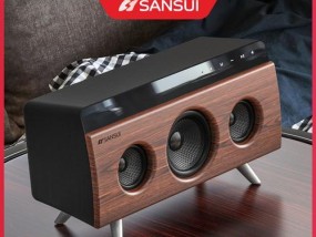 山水音响平口充电器电压是多少？