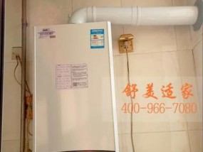阿里斯顿壁挂炉显示E6故障现象及解决方法（了解E6故障原因）