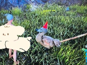方舟魔改服务器进入方法是什么？