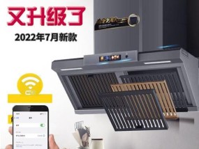 如何清洗挂立式排油烟机（轻松掌握清洗技巧）