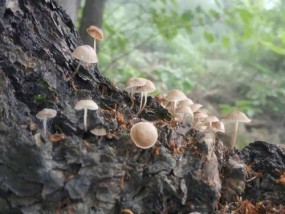 乌龙女大穿越是什么？穿越剧中的常见问题有哪些？