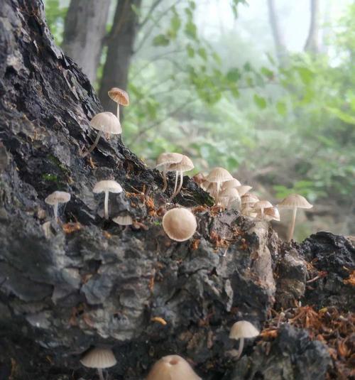 乌龙女大穿越是什么？穿越剧中的常见问题有哪些？  第1张